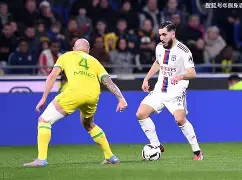 开云首页体验-关于南特主场大胜，法甲保级形势稍有起色的信息